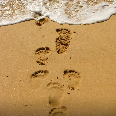 Little Betsy * Zandvoort