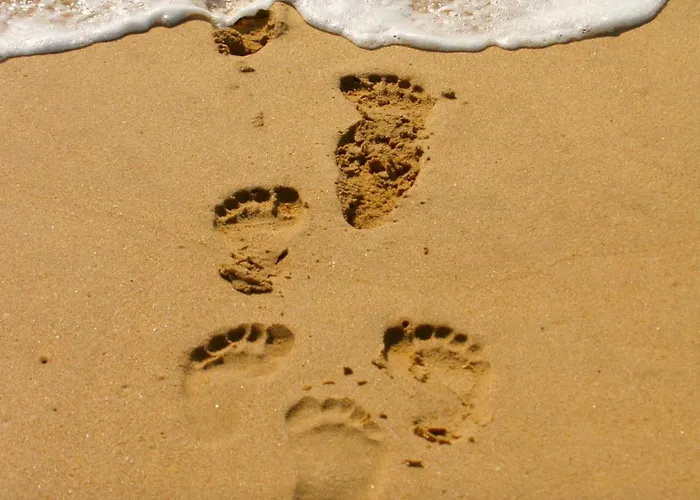 Little Betsy * Zandvoort